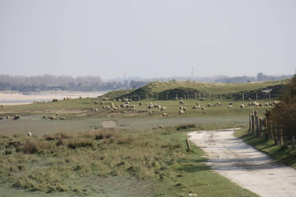 Gite Ouest de la pointe d'Agon Extérieur photo