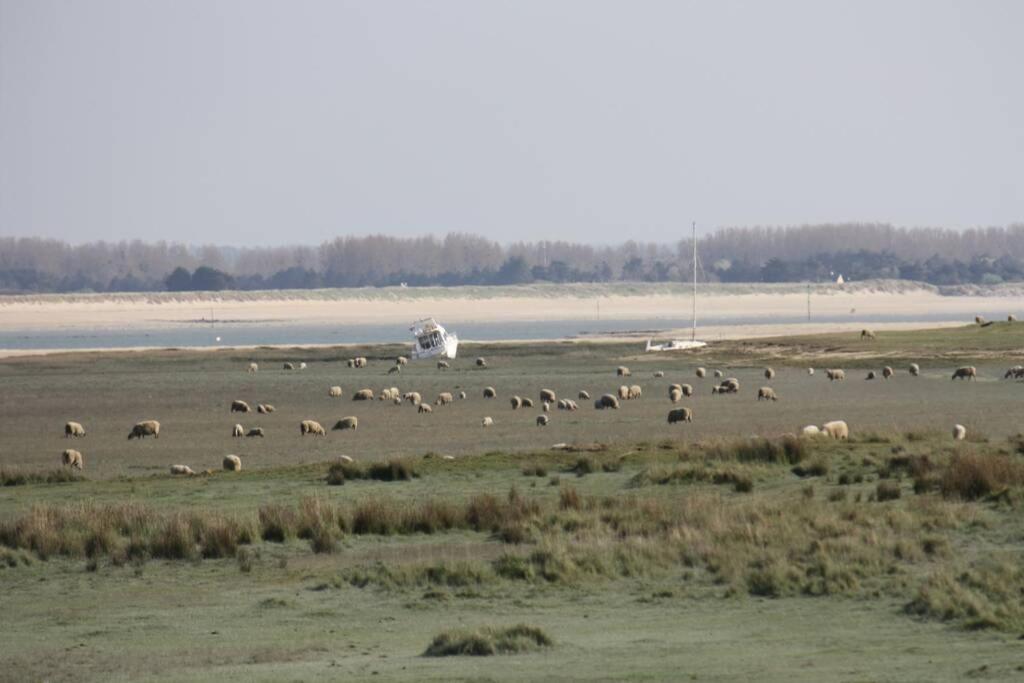Gite Ouest de la pointe d'Agon Extérieur photo